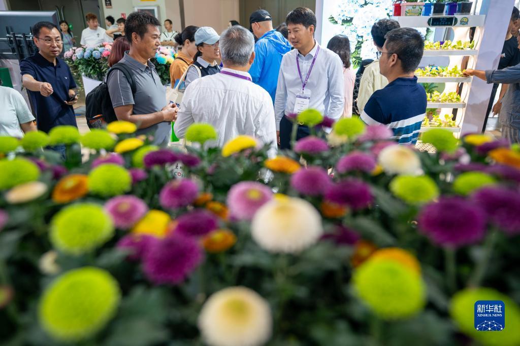淘金网在线注册